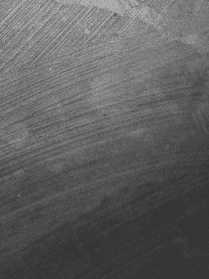 Textura rabiscada
